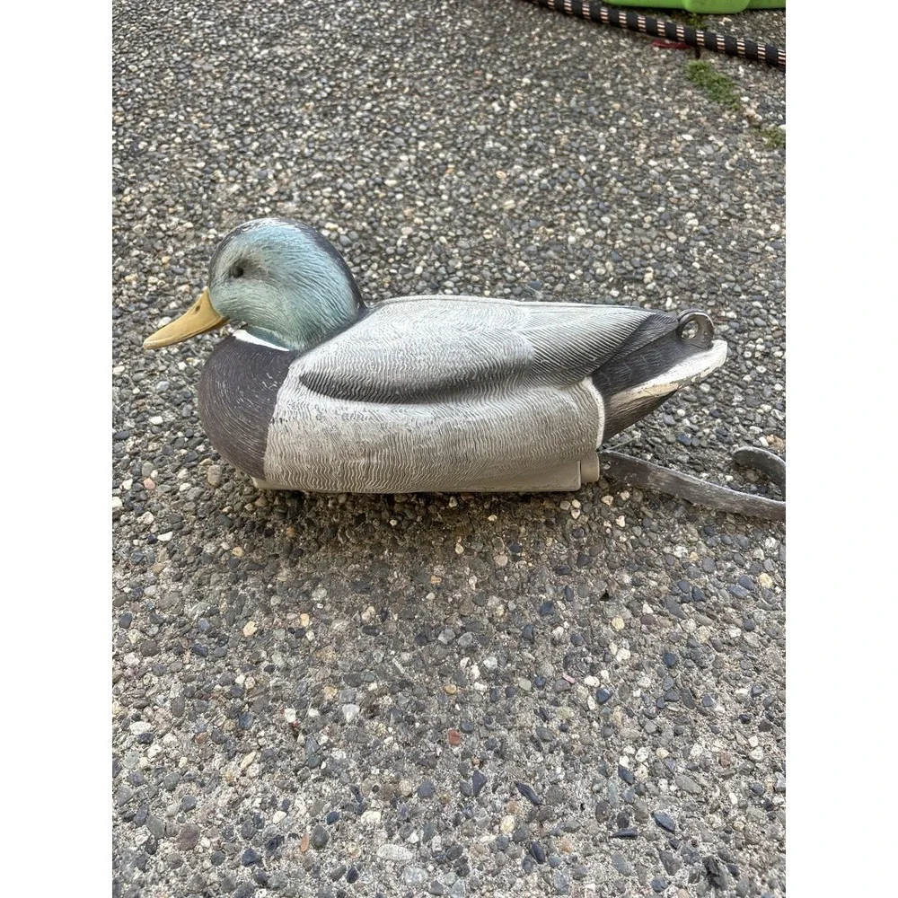 Avery 2003 Outdoors Greenhead Gear GHG Mallard Drake Life Size Hunting Decoy‎